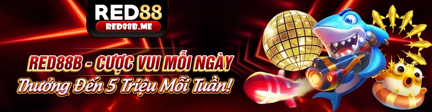 Hình ảnh tổng quan về Điều Khoản và Điều Kiện của 288bet nhà cái